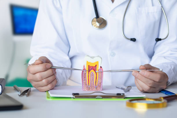 Best Pediatric Emergency Dentist in Cedar Point, NC